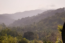 Chikmagalur Hills